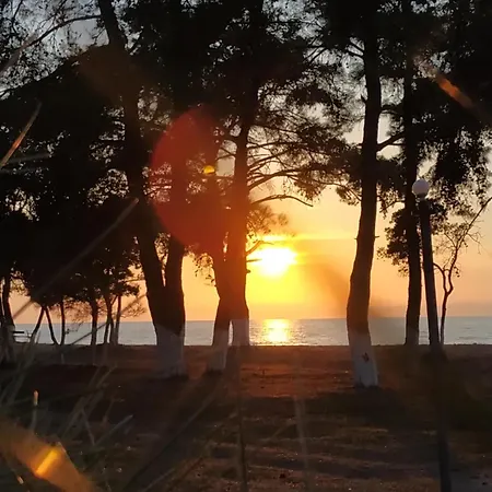 Bleu- 3* Принос