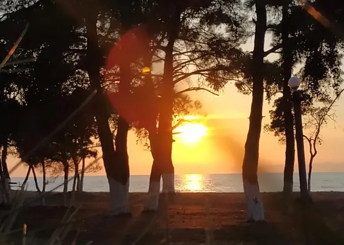 Bleu- 3* Prinos (Thasos)